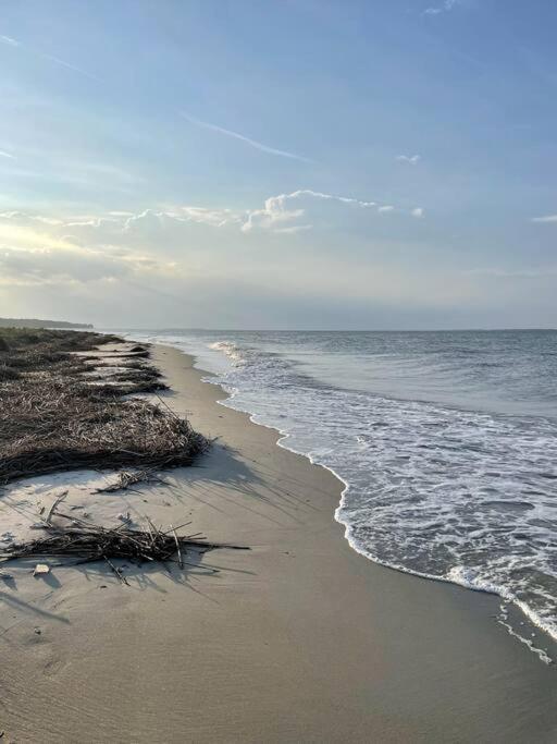 Classy & Comfortable Condo! Hilton Head Island Eksteriør bilde